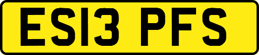 ES13PFS