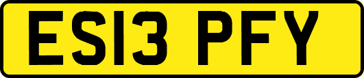 ES13PFY