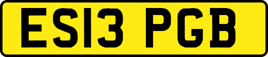 ES13PGB
