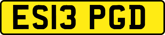 ES13PGD