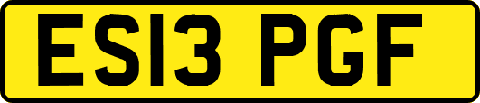 ES13PGF