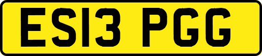 ES13PGG