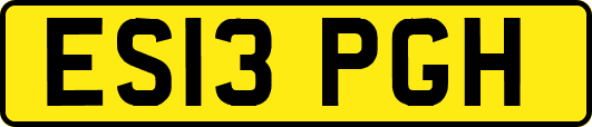 ES13PGH