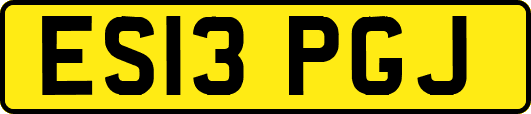 ES13PGJ