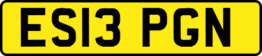 ES13PGN