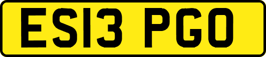 ES13PGO