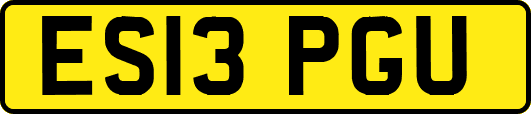 ES13PGU