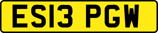 ES13PGW