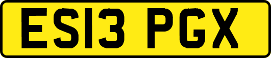 ES13PGX