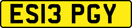 ES13PGY