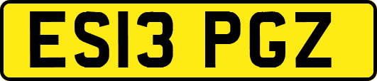 ES13PGZ