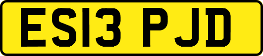 ES13PJD
