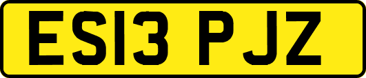 ES13PJZ