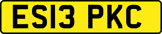 ES13PKC