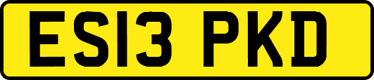 ES13PKD