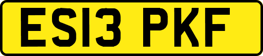 ES13PKF