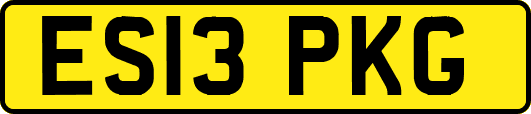 ES13PKG