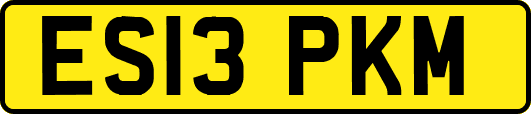 ES13PKM