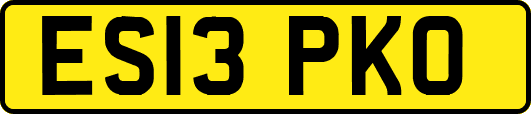 ES13PKO