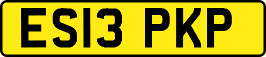 ES13PKP