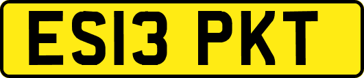 ES13PKT