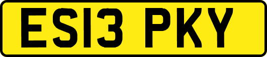 ES13PKY