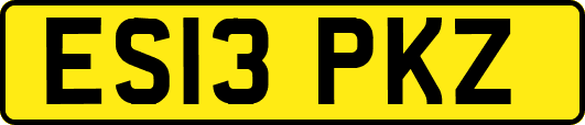 ES13PKZ