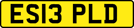 ES13PLD