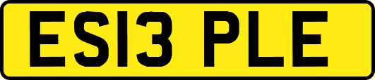 ES13PLE