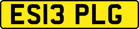 ES13PLG