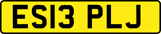 ES13PLJ