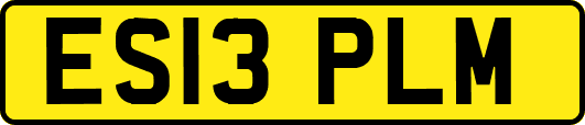 ES13PLM