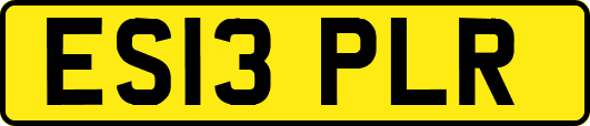 ES13PLR