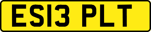 ES13PLT