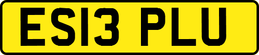 ES13PLU