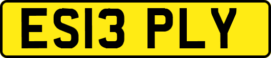 ES13PLY