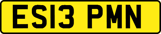 ES13PMN