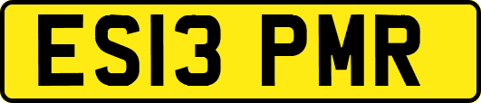 ES13PMR