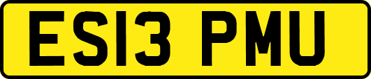 ES13PMU