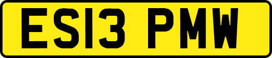 ES13PMW