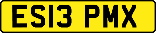 ES13PMX