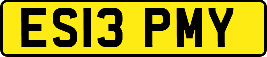 ES13PMY