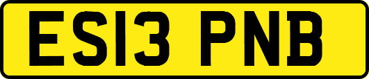 ES13PNB