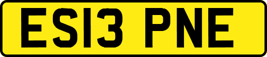 ES13PNE