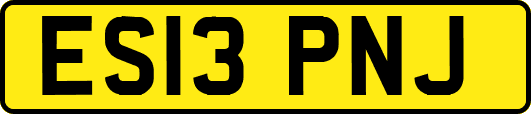 ES13PNJ