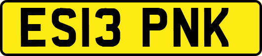 ES13PNK