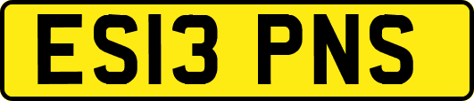 ES13PNS
