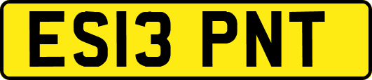 ES13PNT
