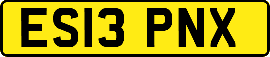 ES13PNX