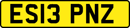 ES13PNZ